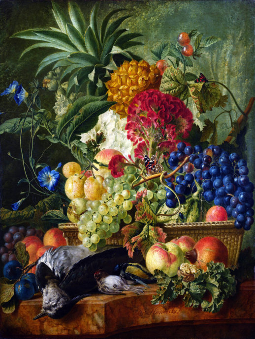 二十张惊艳的鲜花图片美图欣赏,好看的鲜花绝美图片