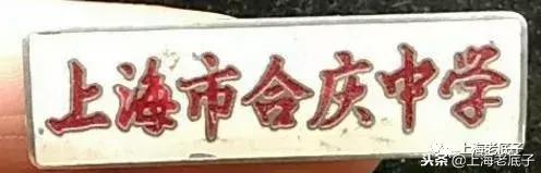 「川沙县篇」回望上世纪八九十年代的上海学校，有侬的母校伐？