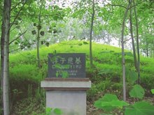 淳于缇萦是淳于意的第几个女儿,淳于意与缇萦