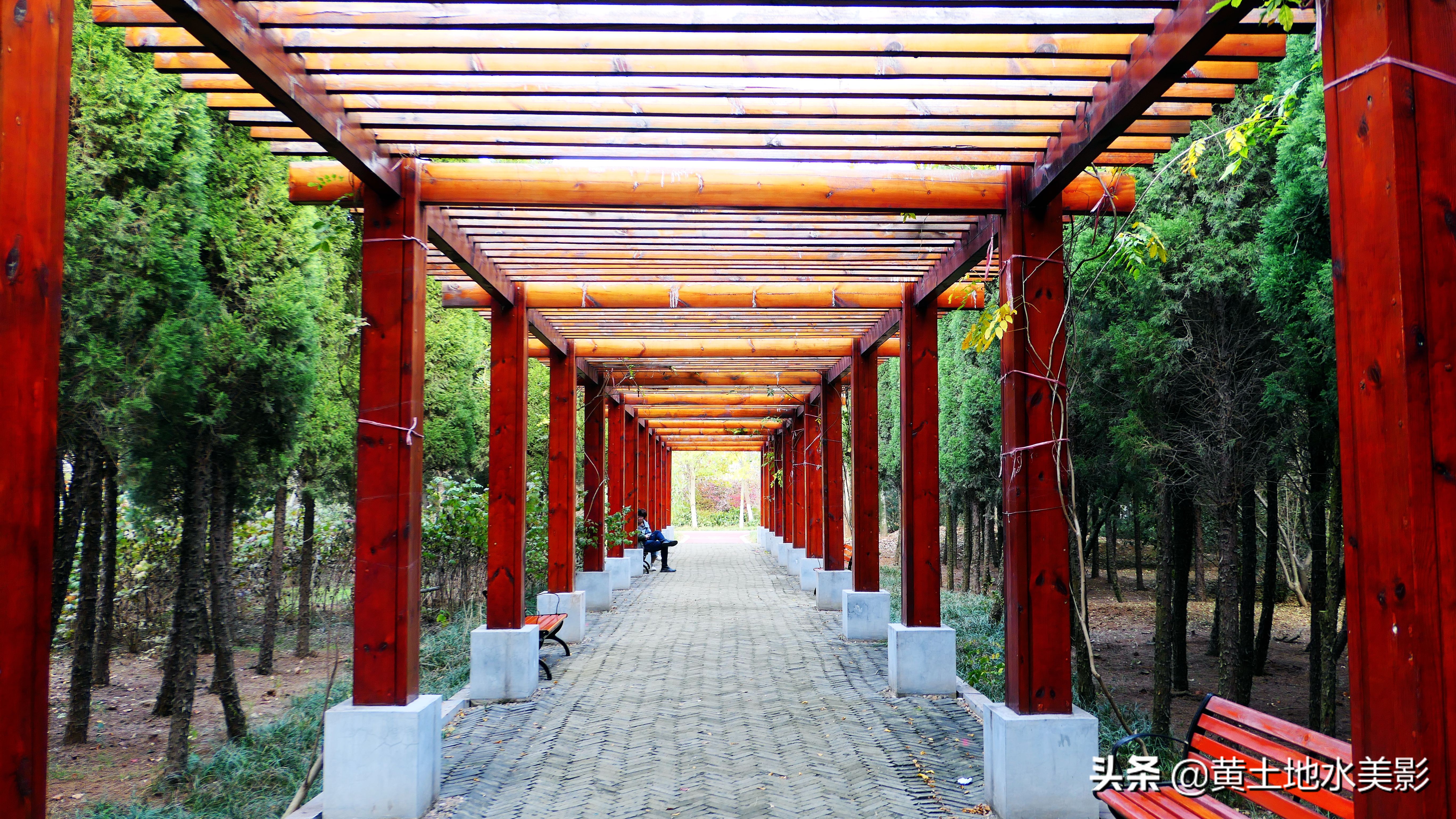 占地590亩的湿地公园,野生动物比较多的旅游景区