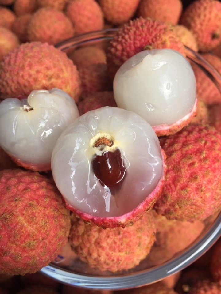 日啖荔枝三百颗受得了吗,日啖荔枝三百颗的啖读什么