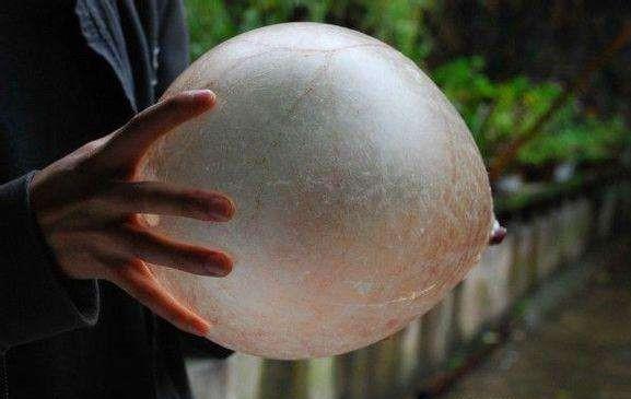 五四一阵型怎么打,五四一阵型详解