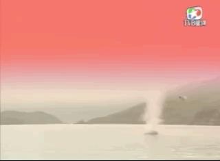 仙侣奇缘血魔和极乐童子对战,仙侣奇缘里的极乐童子是谁