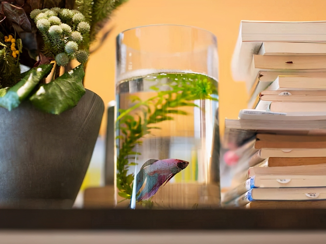 东京神保町,东京神保町有修书店