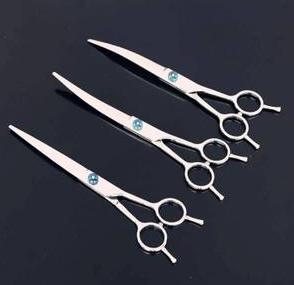 手把手教宠物美容泰迪头部,泰迪狗美容新手教程