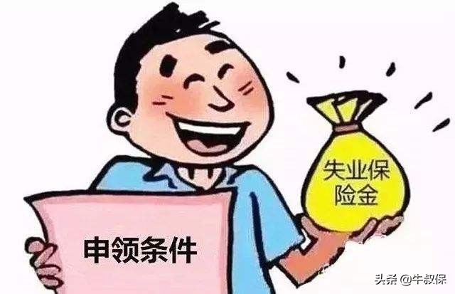 社保缴费包含什么内容,社保时间和社保缴费哪个重要