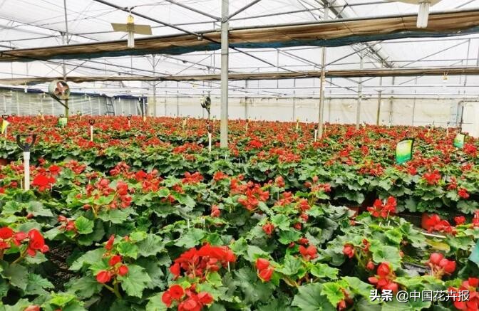 电商行业的水到底有多深 (电商行业的风向变了)