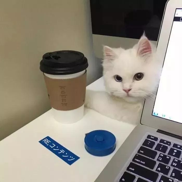 易经中的最吉利的微信头像招财,2024最招财带来好运的微信头像