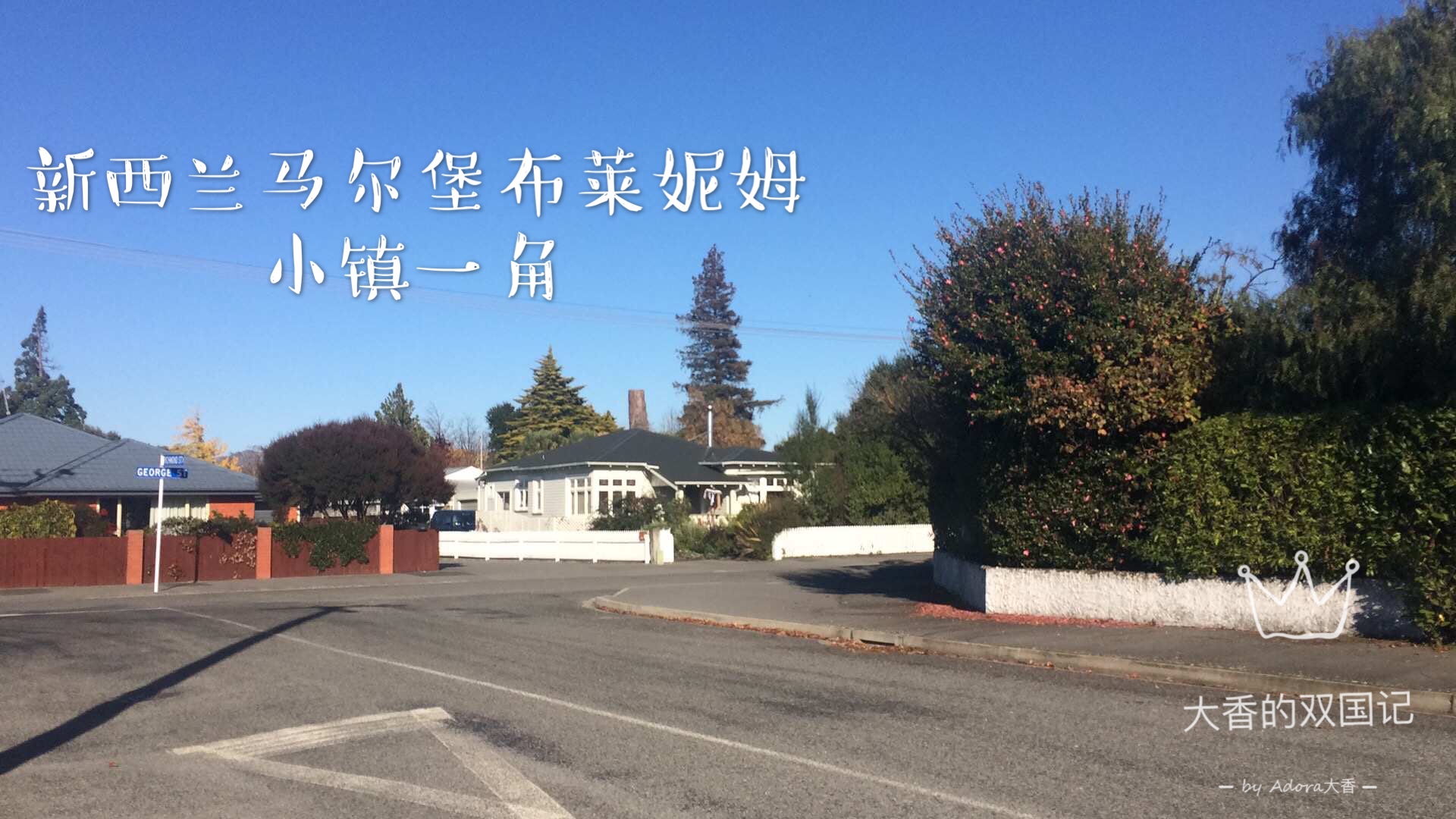 新西兰眼中的中国人,新西兰人看待中国学生