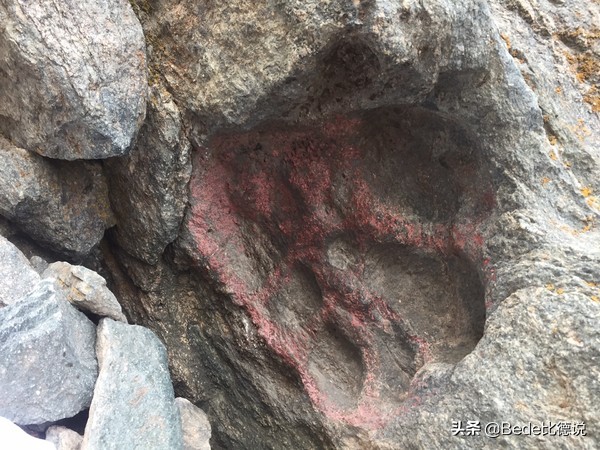 贵州空中怪车现在怎么样了,贵州ufo空中怪车事件真相