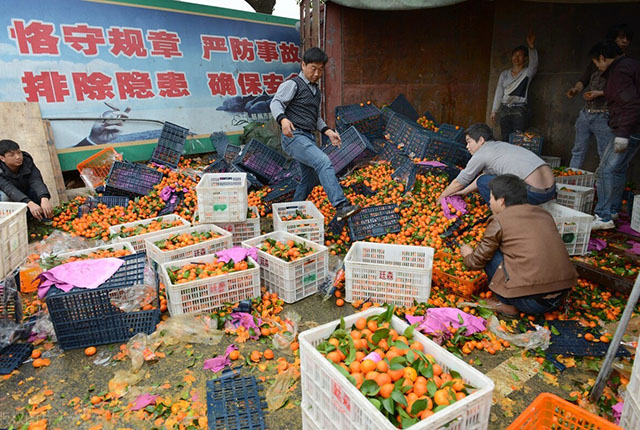 砂糖橘跟普通橘子有区别吗,真的砂糖橘和假的砂糖橘