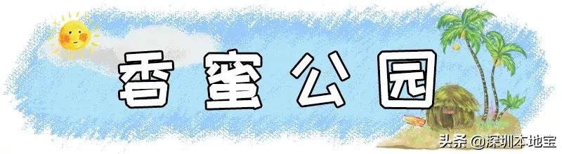 深圳最值得免费去的十大景点,深圳有哪些地方是免费景点