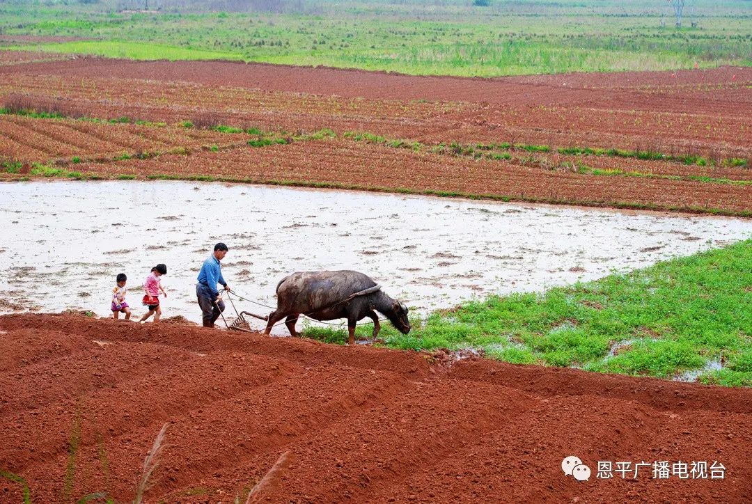 恩平拍客郑君文：用快门定格家乡变迁