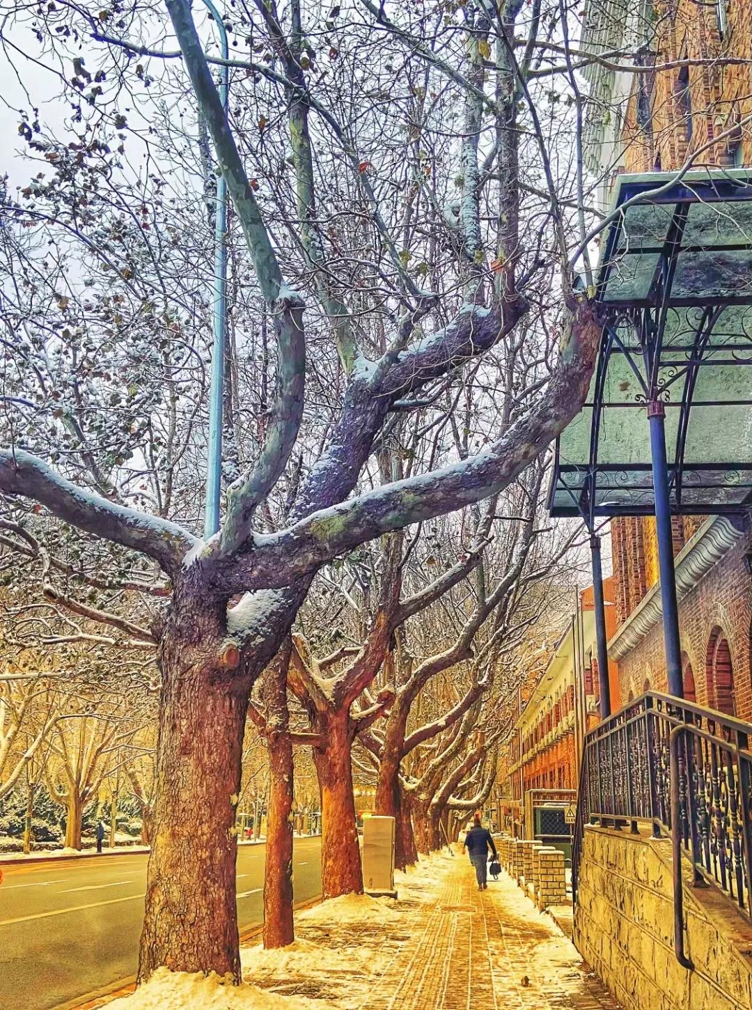 妈妈吃中药宝宝转阴,央视母亲吃中药喂奶婴儿核酸转阴