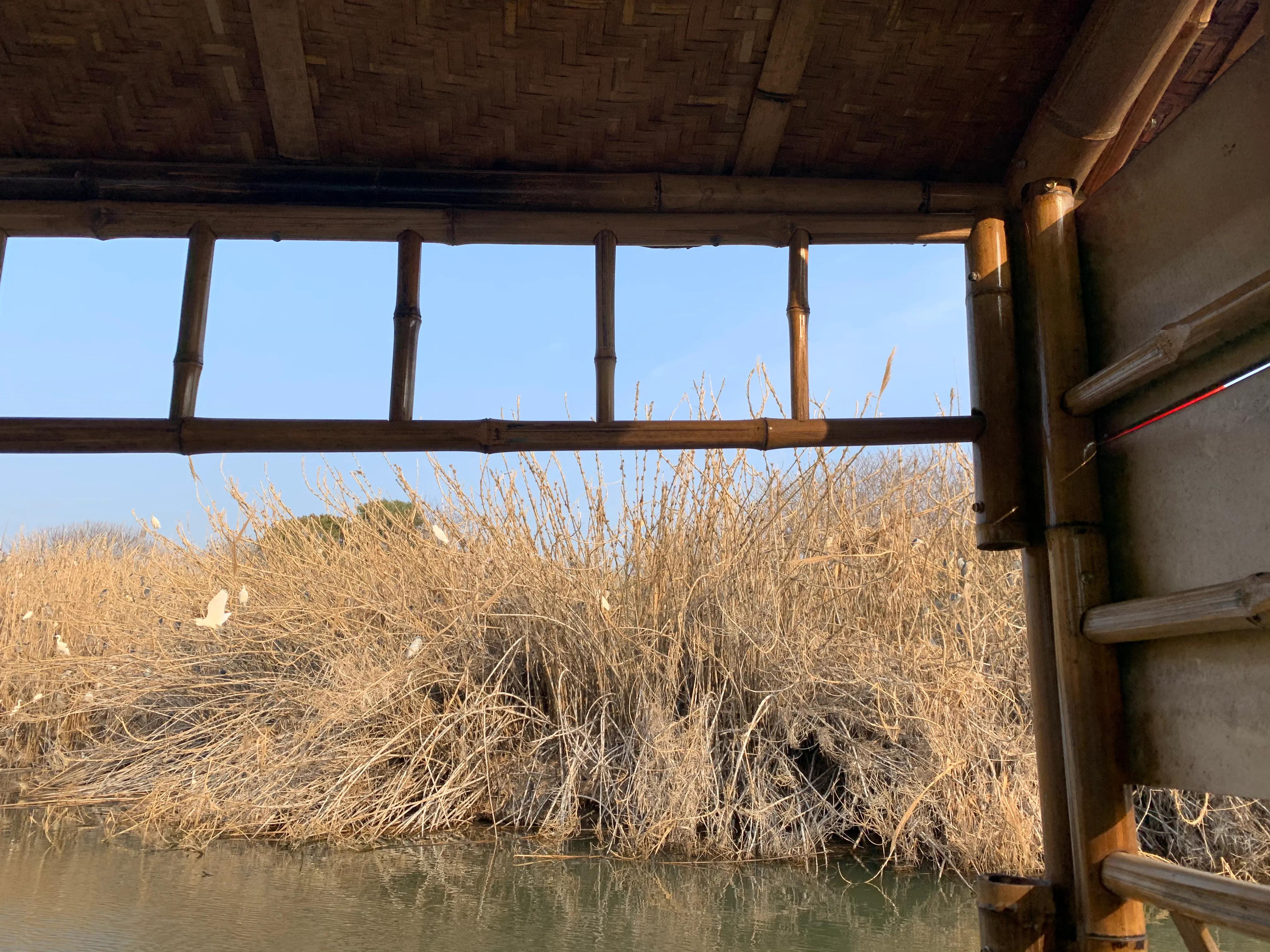 常熟沙家浜风景区一日游价格,常熟沙家浜旅游攻略
