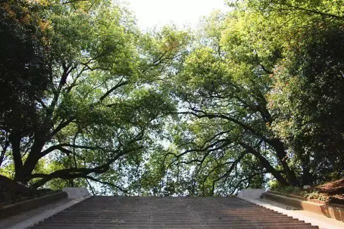 南京免费的公园,太全了