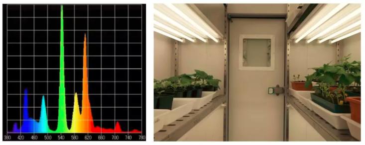 植物生长箱的应用,植物生长箱选择