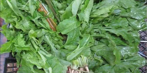 创业项目推荐目前热门创业门路,现在热门创业开店项目