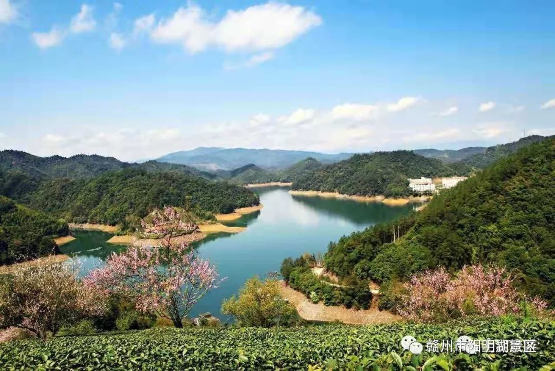 女神节礼物正在配送,江西明月山女神节免票活动开启