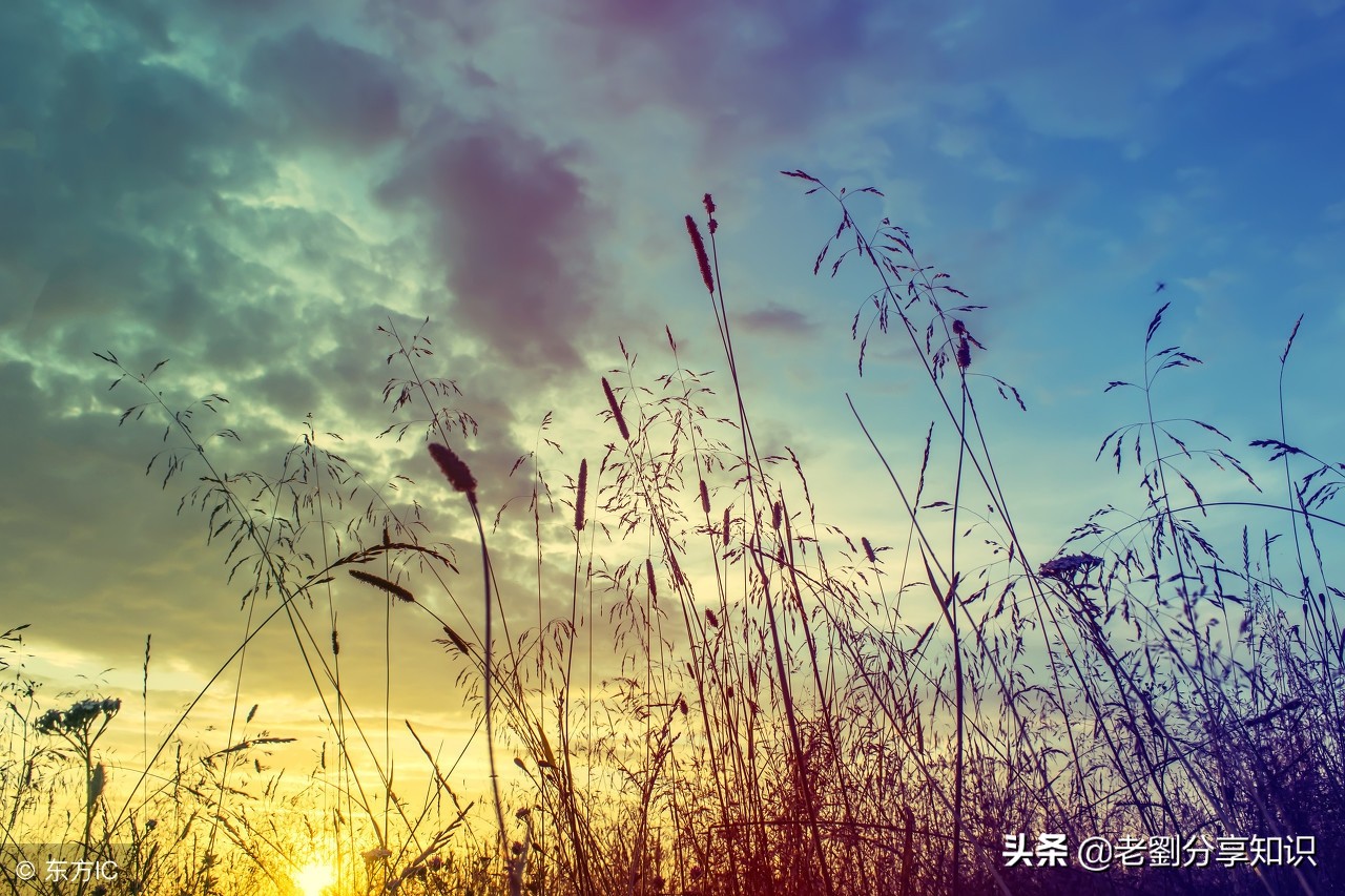 假期会学习:初中优秀作文赏析——《远方的呼唤》一题3篇