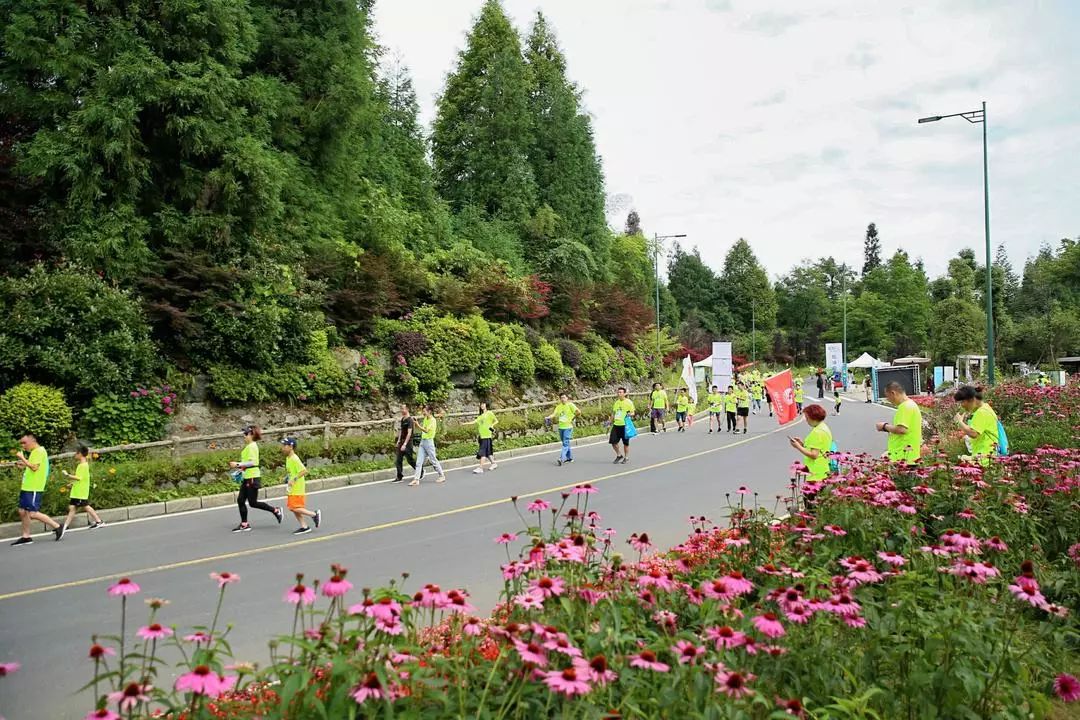 千人亲子运动会圆满成功,亲子健康跑活动方案