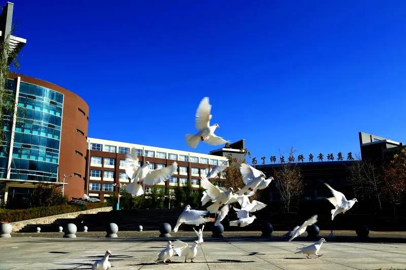 长春实验学校十大排名,长春实验中学全国排名