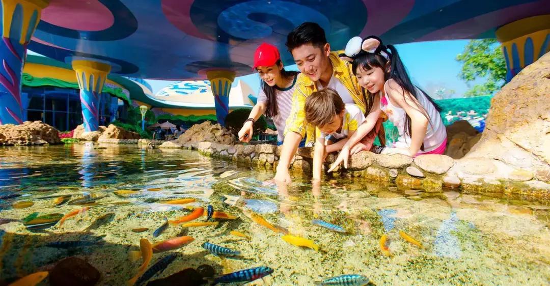 带小婴儿长隆动物园游玩攻略,亲子游玩广州熊猫酒店长隆攻略