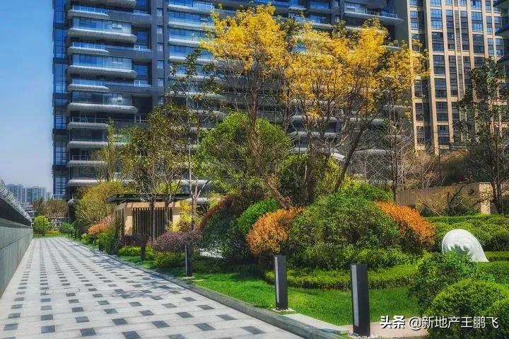 *瑰园玫**|曲江池畔的「叛逆少年」，匠心打磨的「凝固艺术」