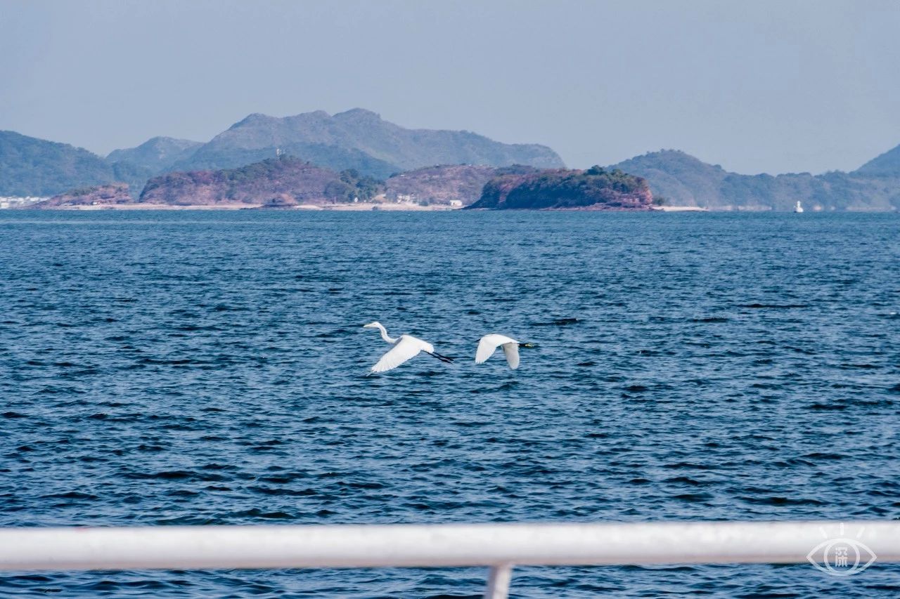 深圳绝美小岛景点介绍,深圳有哪些绝美的海景