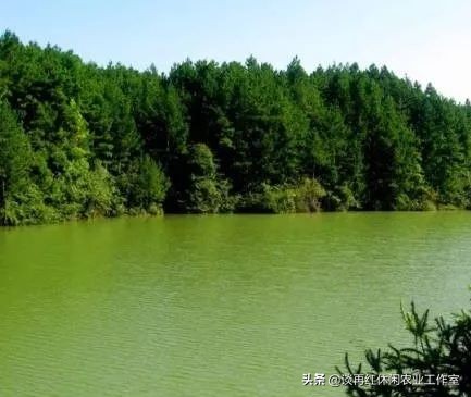 短短两年，荣华村挖掘地标品牌脱贫致富，乡村振兴并不遥远！