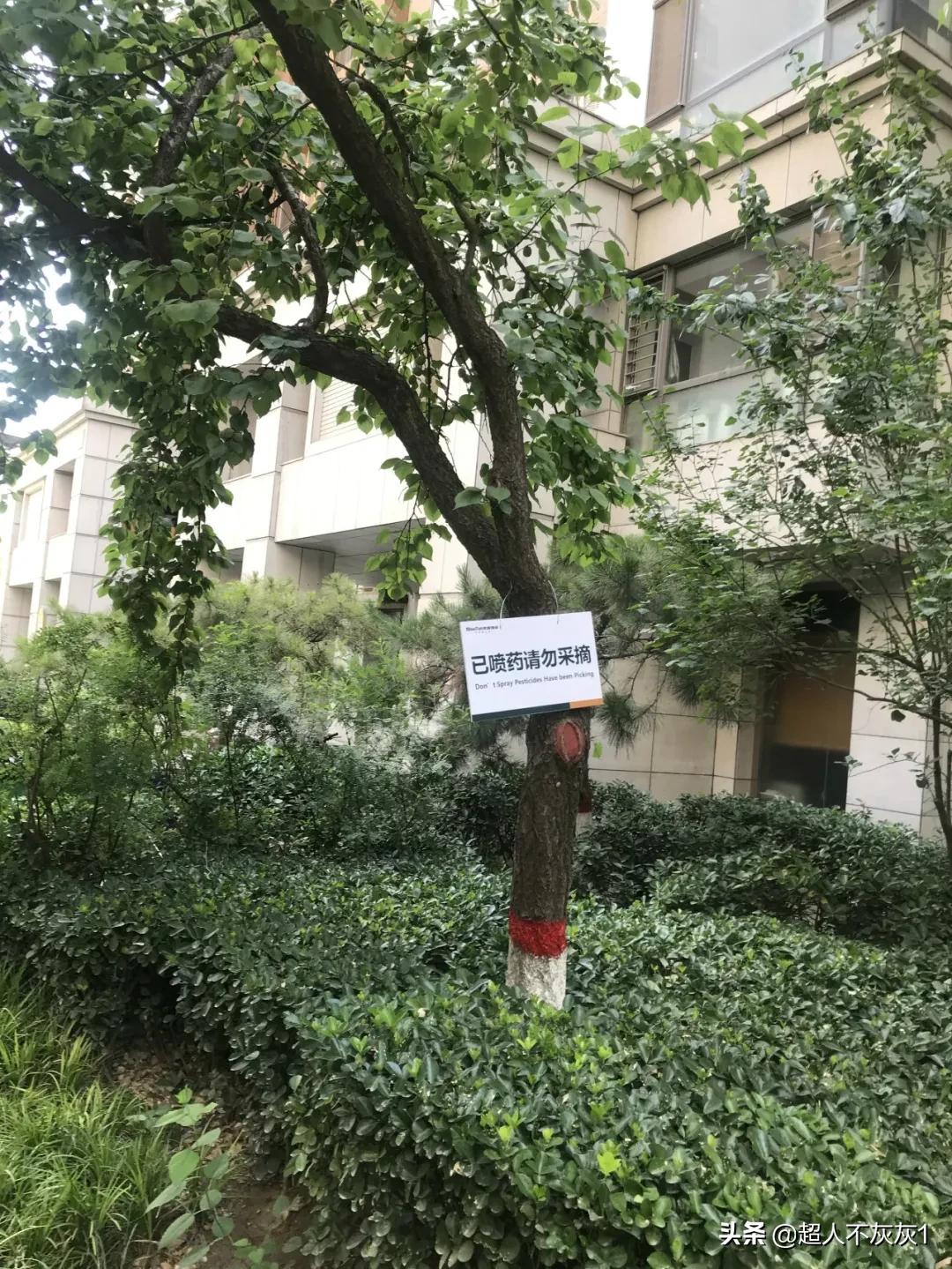 石家庄阿尔卡迪亚荣景园划片,石家庄阿尔卡迪亚荣景园学区