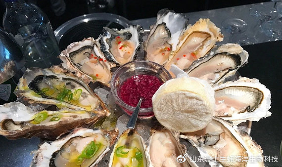 宵夜吃生蚝真实视频,宵夜湛江生蚝生吃