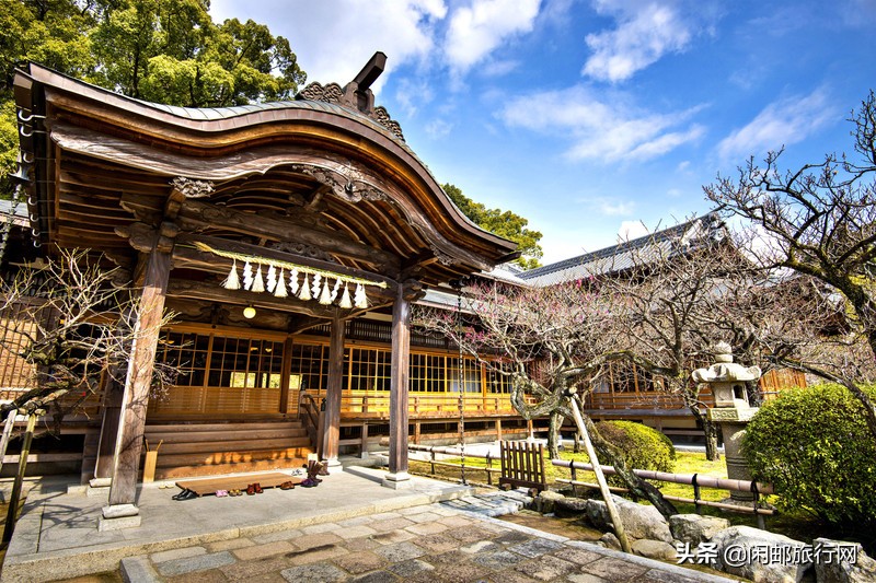 畅玩皇家加勒比邮轮量子号出发到福冈的五天四晚游轮旅行攻略