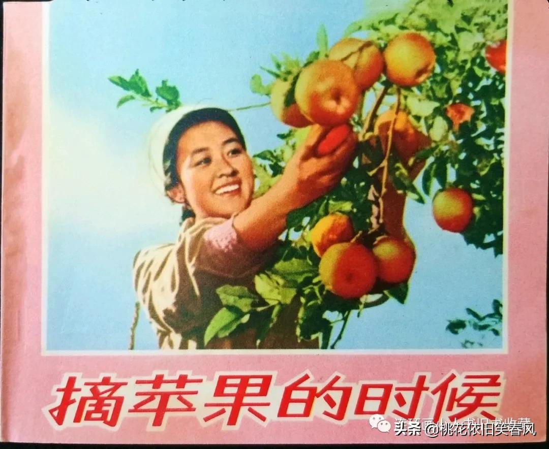 连藏之王王家龙：百万富翁不是梦