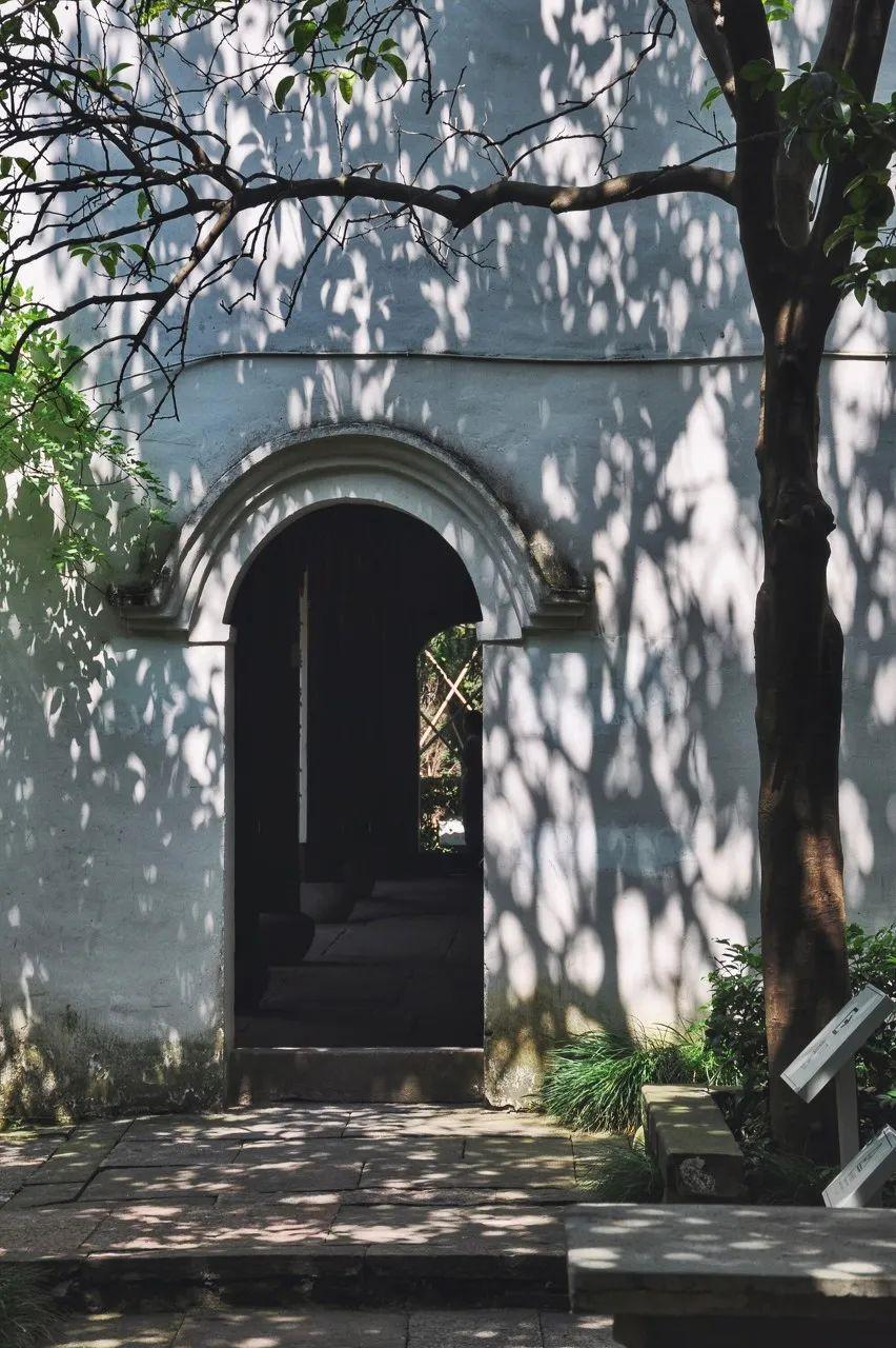 书藏古今港通天下,书藏古今港通天下央视