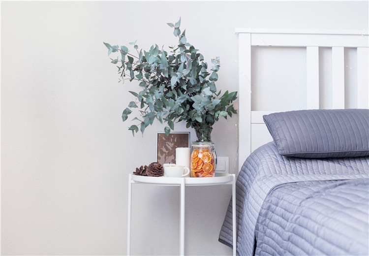 尤加利叶花语和寓意,尤加利果和尤加利叶味道