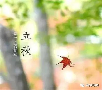 为什么夏季学车,立秋驾培全部答案