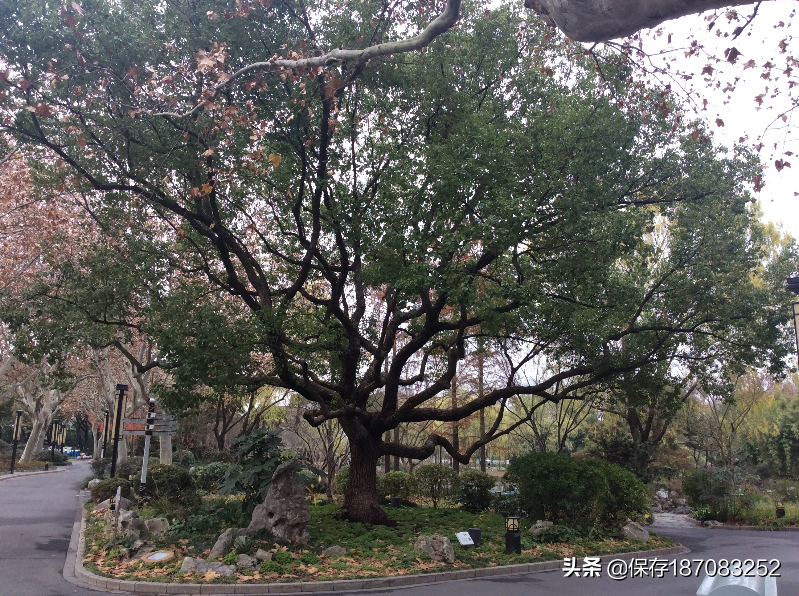 上海普陀山公园,普陀区长风公园在哪