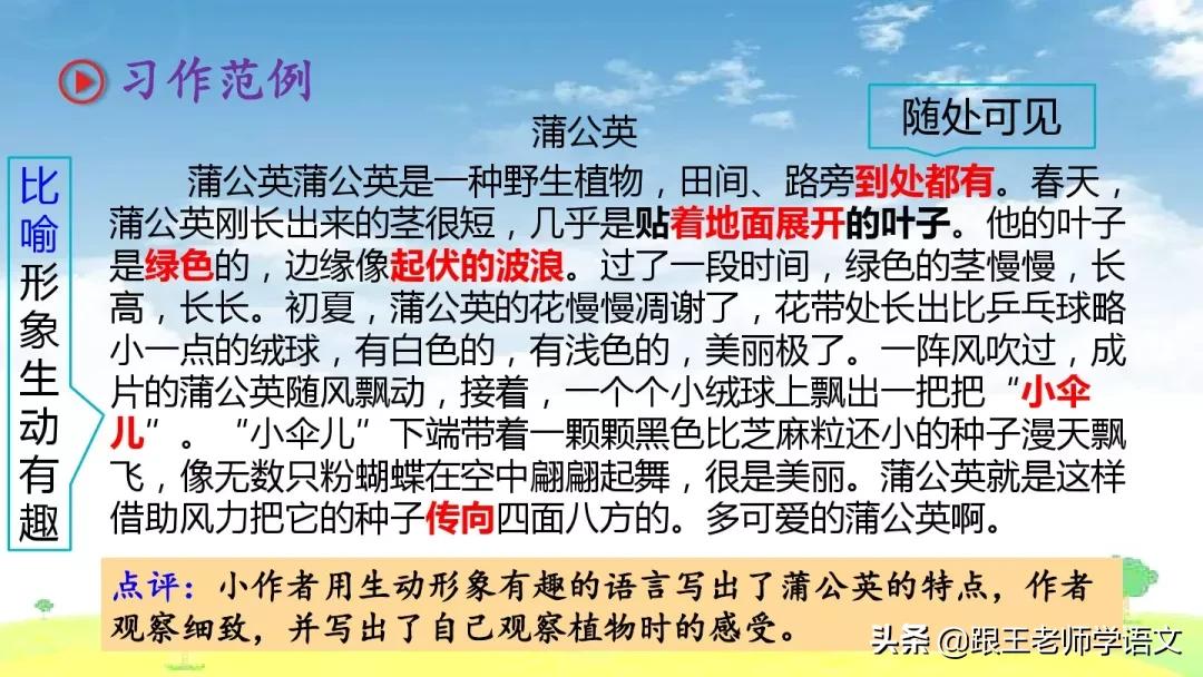 我的植物朋友竹子作文三年级300字,三年级下册我的植物朋友习作评语