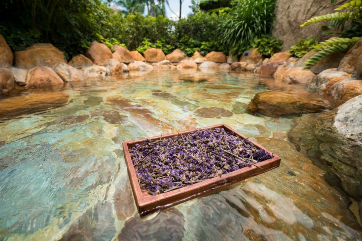 厦门温泉酒店吃住一体团购,厦门温泉酒店温泉套票