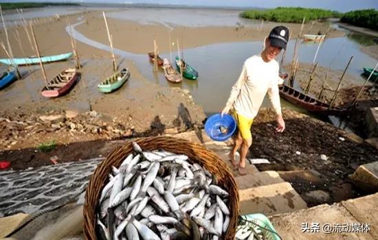 海鲜本身有多鲜,海鲜捕捞知识