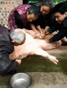 一周gif动图,一周gif图