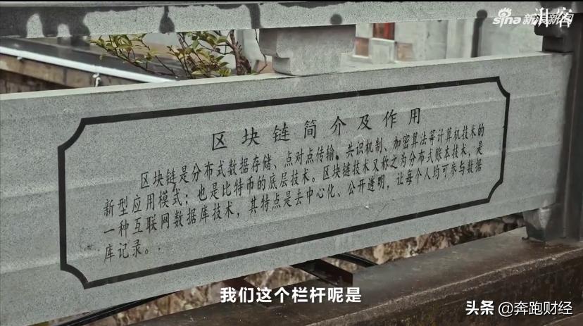 浙商杨林科的*币特比**浮沉之路