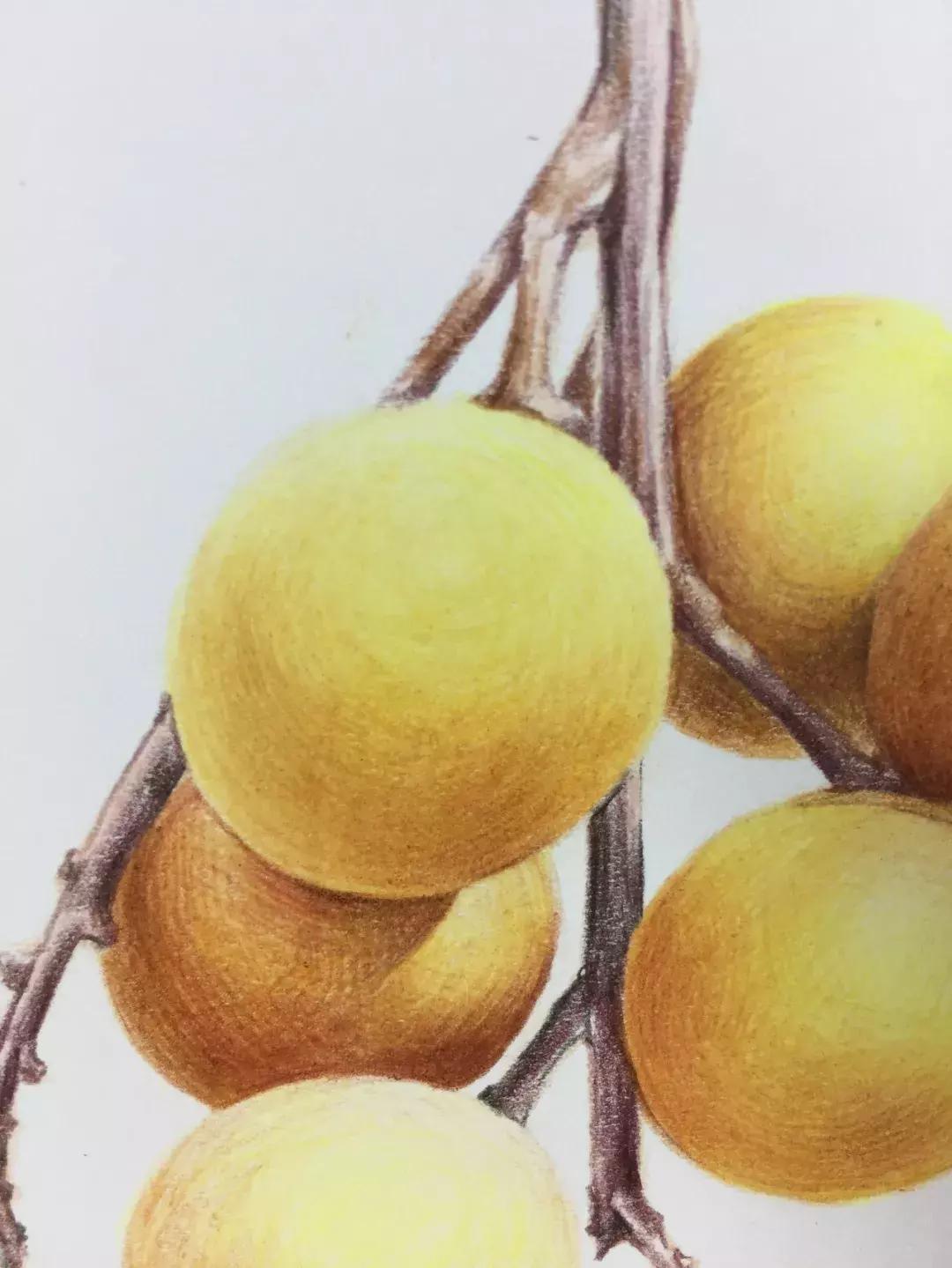 彩铅龙眼,龙眼怎么画彩铅