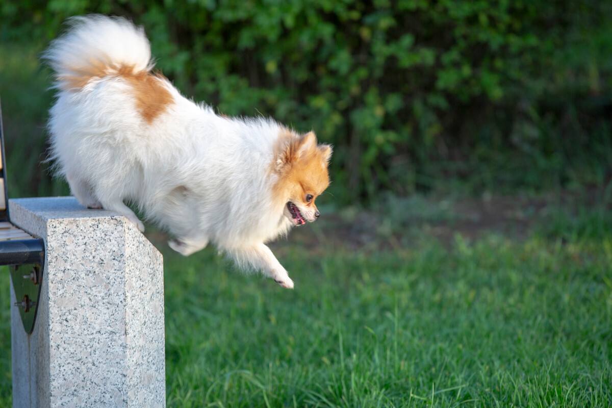 大学宿舍常见的违禁物品,大一新生住校这些物品最好别带