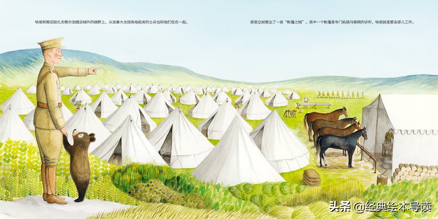 一只世界著名小熊的真实故事——《寻找维尼》导读