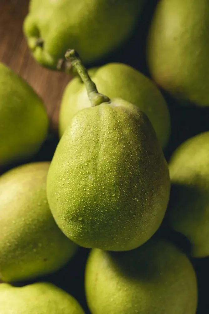 库尔勒秋天的香梨,库尔勒香梨香甜多汁