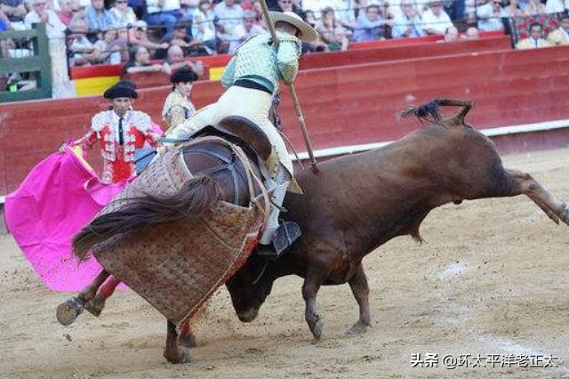 斗牛如果牛赢了还是要死,斗牛士为什么最后都杀死牛呢