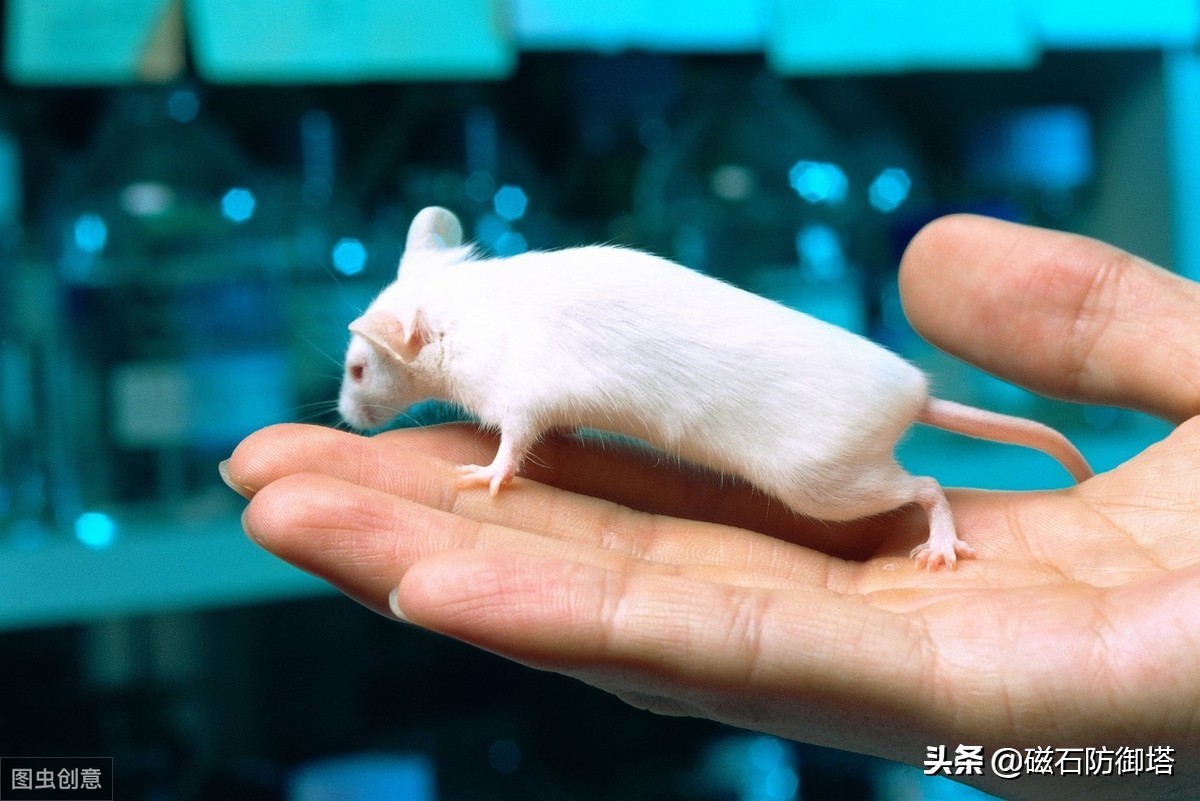 蜀道难讲解视频,蜀道难视频