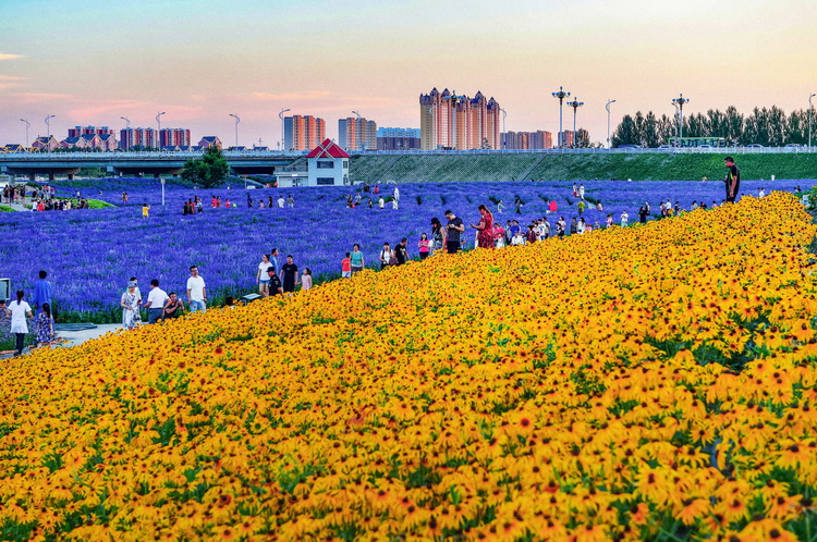 五块“国字号”招牌科尔沁璀璨明珠——这里是通辽！